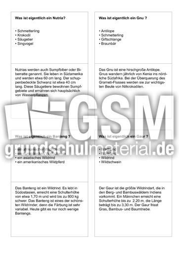 Tiernamen 53.pdf